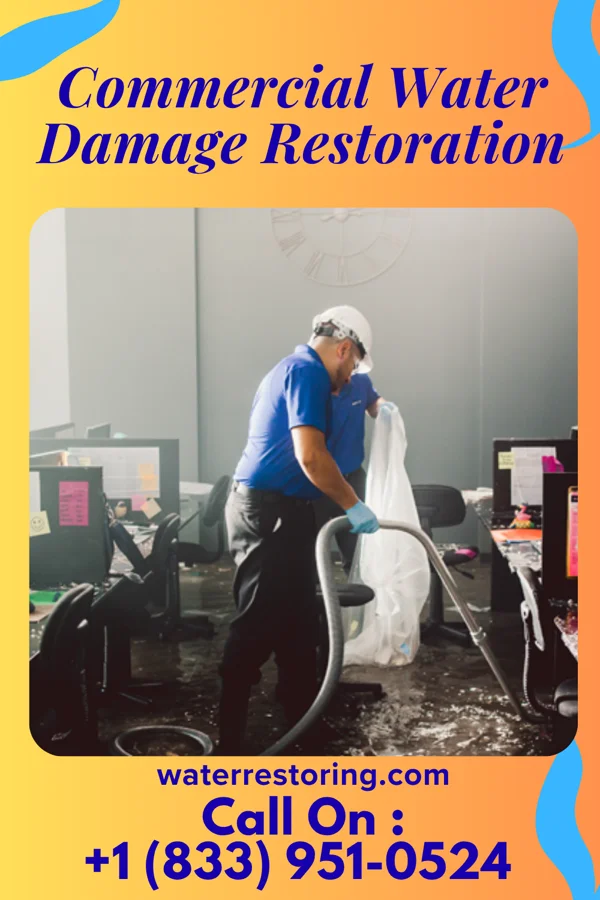 Commercial Water Damage Restoration in Isola, MS