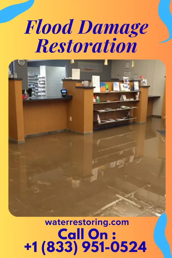 Flood Damage Restoration in Isola, MS