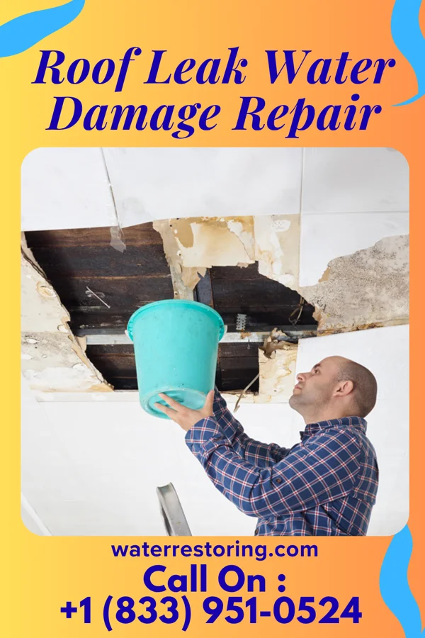 Roof Leak Water Damage Repair in Isola, MS