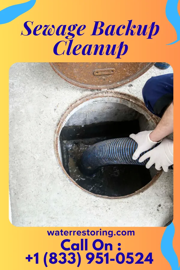 Sewage Backup Cleanup in Isola, MS