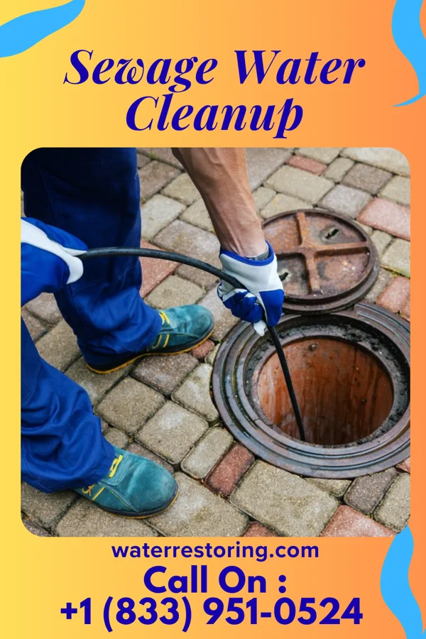 Sewage Water Cleanup in Isola, MS